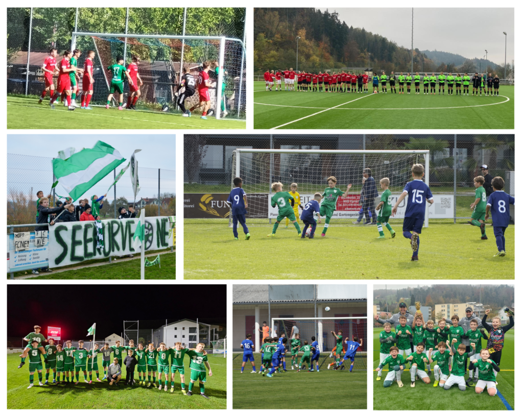 Herbstrückblick 2024